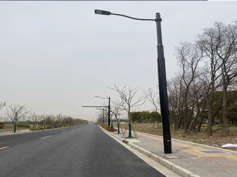 连平县上海综合杆 太阳能路灯工程